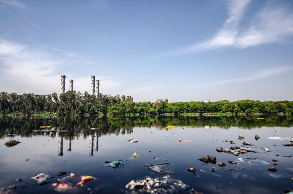 Polluted swamp in the Niger Delta area